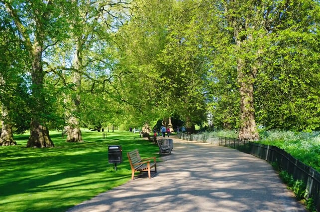 Sunny pathway through a green St James's park in London with large trees, benches and people walking, creating a peaceful urban green space rich in biodiversity.