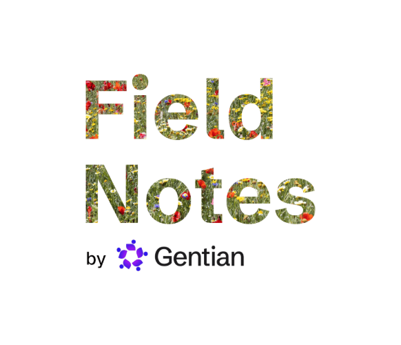 Field Notes - Gentian Newsletter #01