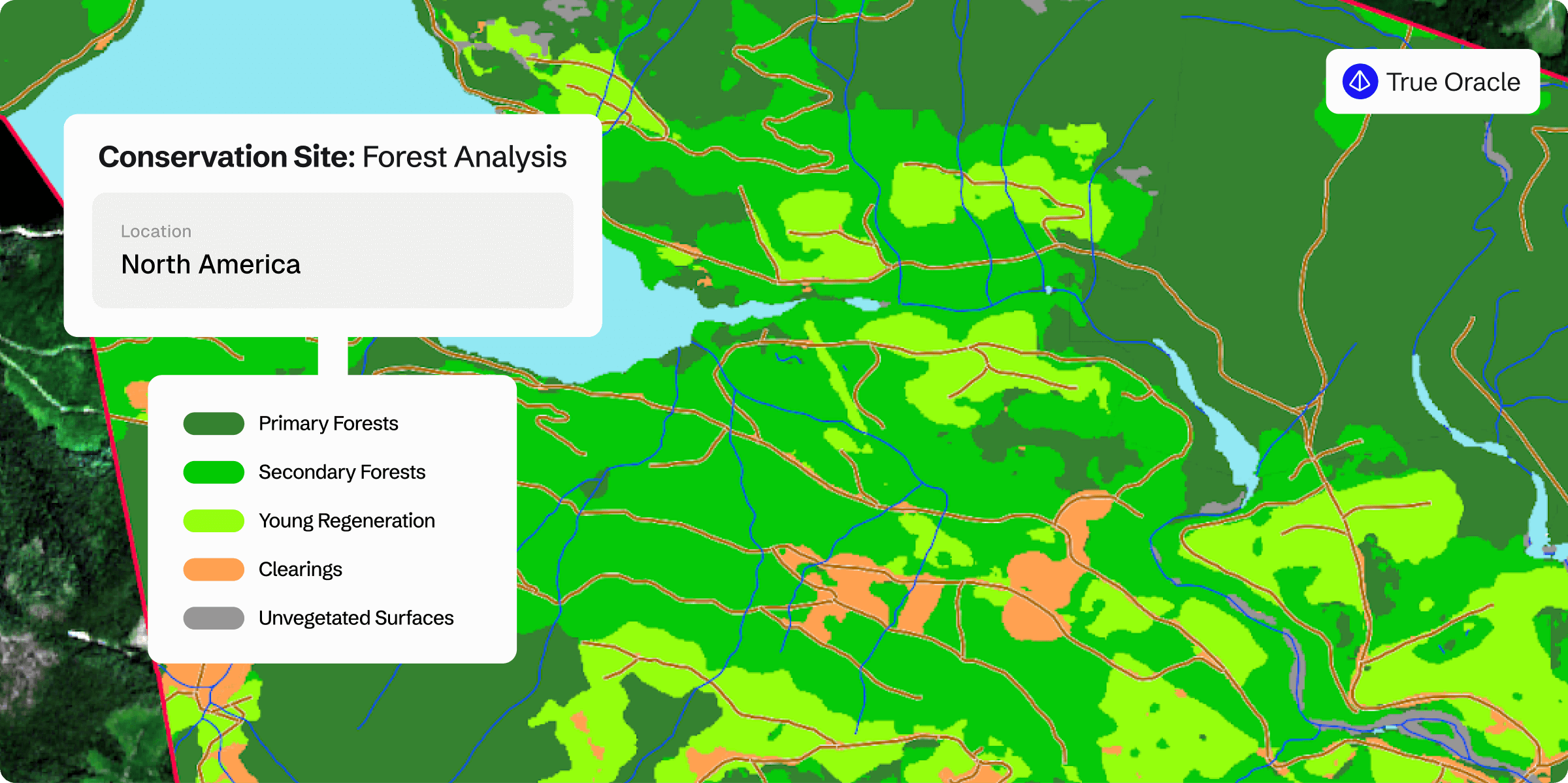 Map showing forest analysis for a conservation site in North America, with clear legend distinguishing primary and secondary forests, young regeneration, clearings, and unvegetated areas. 'True Oracle' logo is visible in the top-right corner.