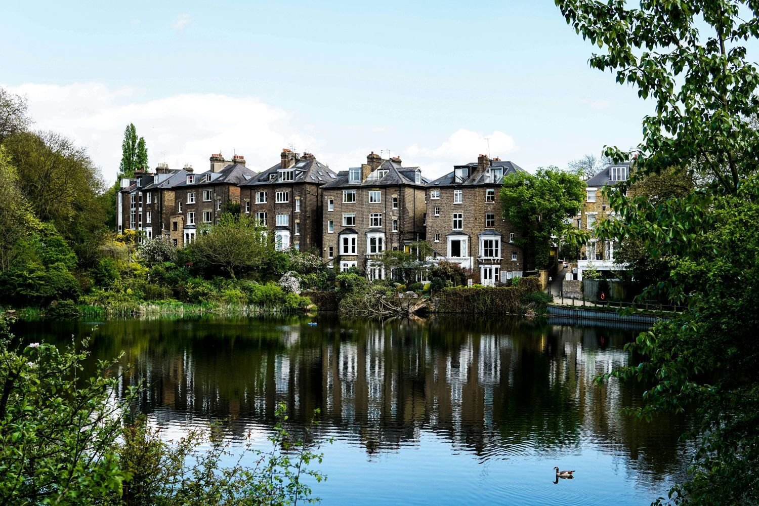 Row of historic brick houses reflected in a calm pond, surrounded by lush greenery. Trees and shrubs frame the water, while a single duck swims in the foreground. The peaceful scene blends architecture and nature in a quiet urban neighborhood.