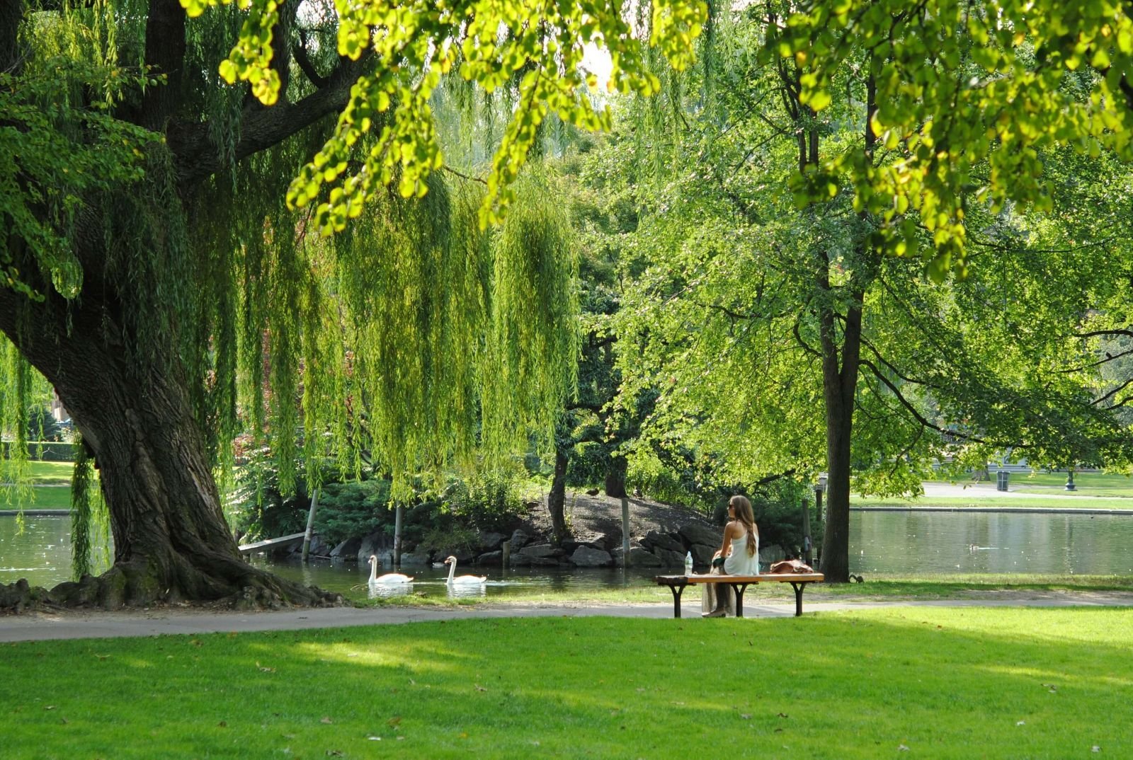 A peaceful park scene with lush green grass, large leafy trees, and a person sitting on a bench near a calm river or lake.