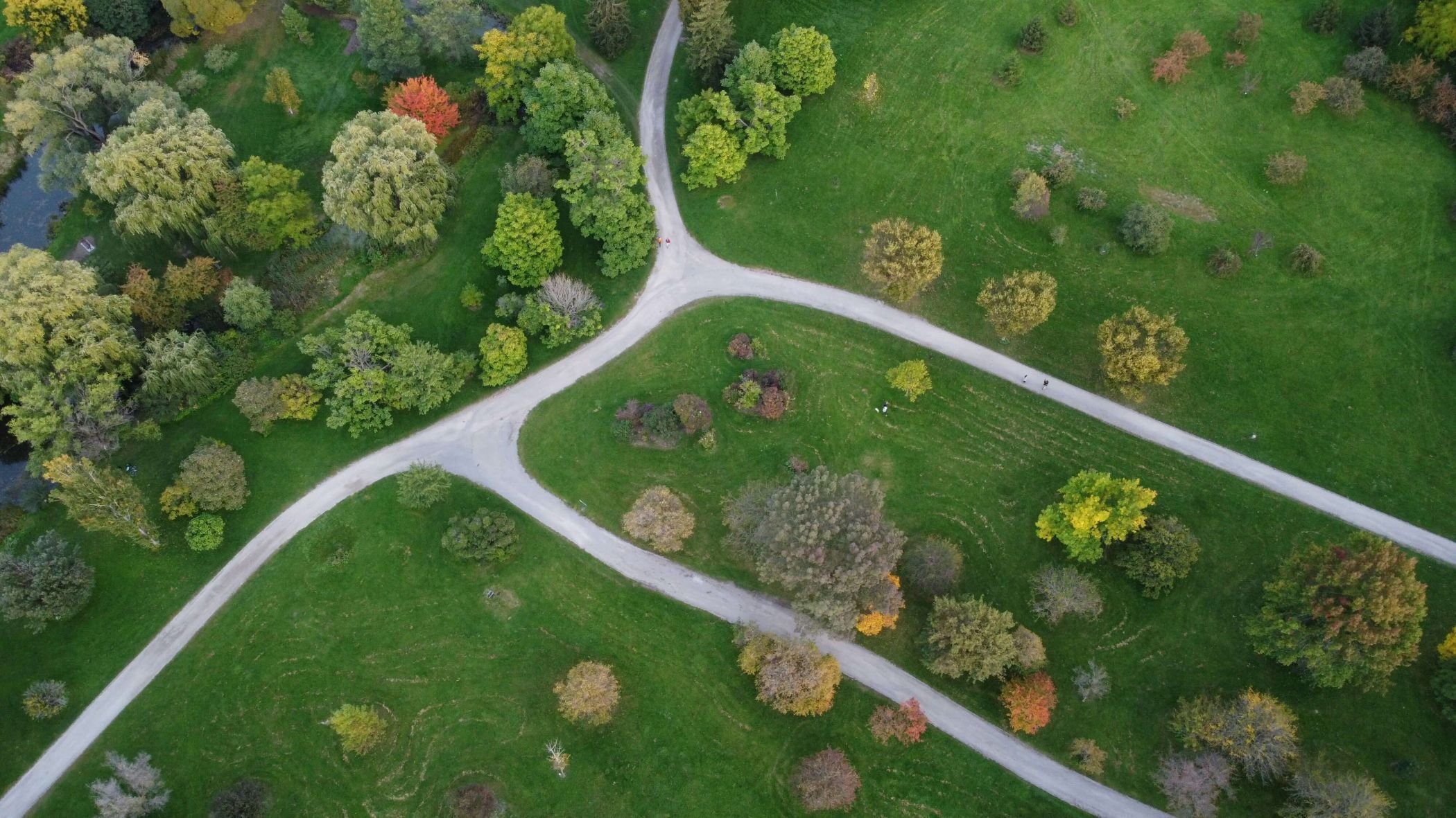 Aerial view of a green park landscape with intersecting white pathways surrounded by grass, trees, and scattered shrubs in various shades of green, yellow, and orange, suggesting a scene in early autumn. The paths create a Y-shaped junction in the center of the image.
