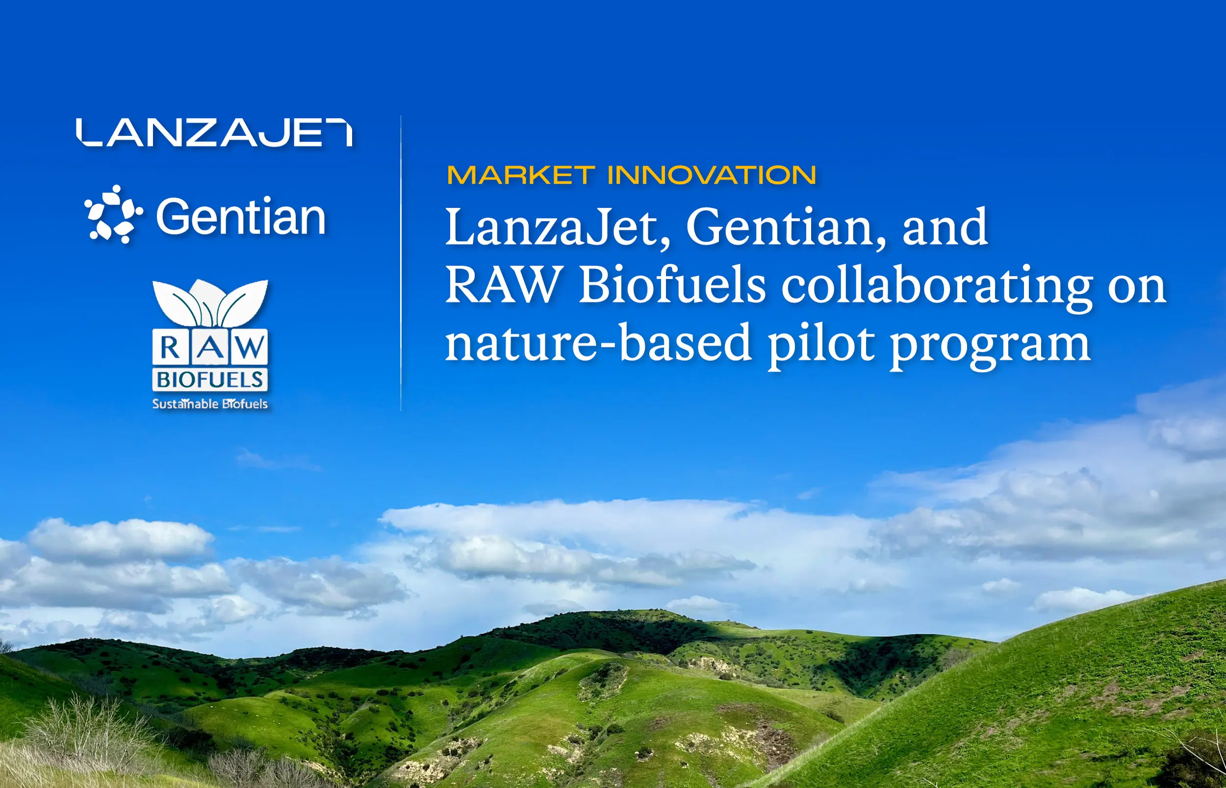 Promotional image showing a landscape of green hills beneath a blue sky, overlaid with text announcing a nature-based pilot program. LanzaJet, Gentian, and RAW Biofuels are collaborating on this market innovation initiative, aiming to advance sustainable biofuel practices.