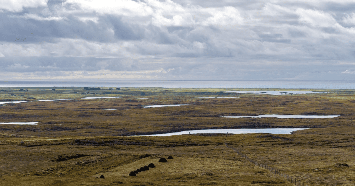 Gentian Wins Innovate UK Funding for AI Peatland Monitoring