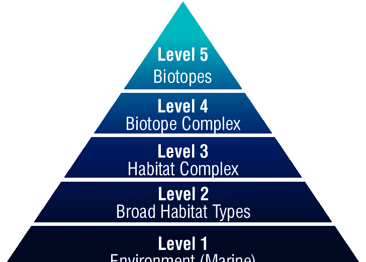 EUNIS-hierarchical-system-for-the-marine-habitat-classification_1_optimized