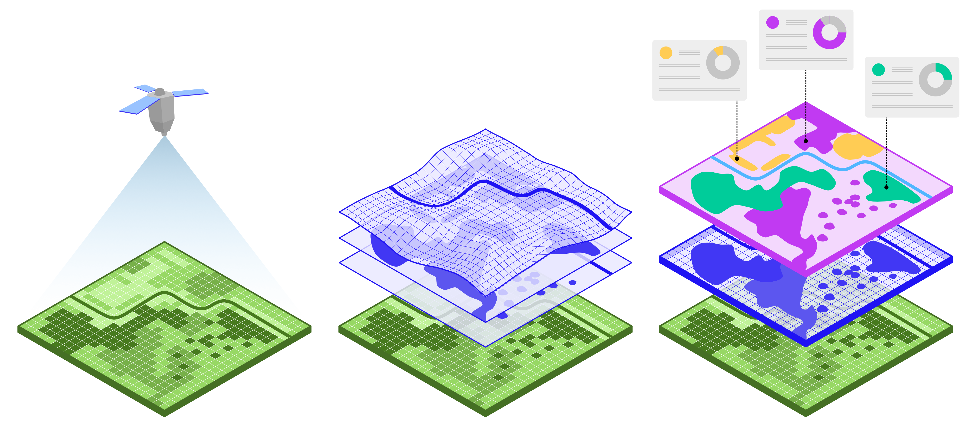 Gentian graphic high res