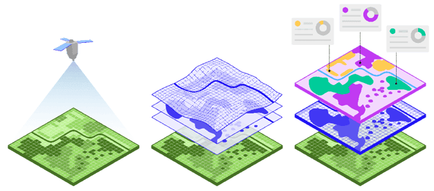 Gentian_graphic_high_res_optimized_200