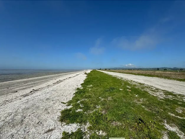 Miranda_North_Island_NZ_Vegetated_shingle_shell_optimized_200