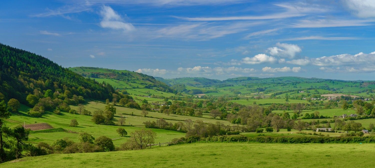 England’s New BNG Rules: Small Sites Exempt - What It Means