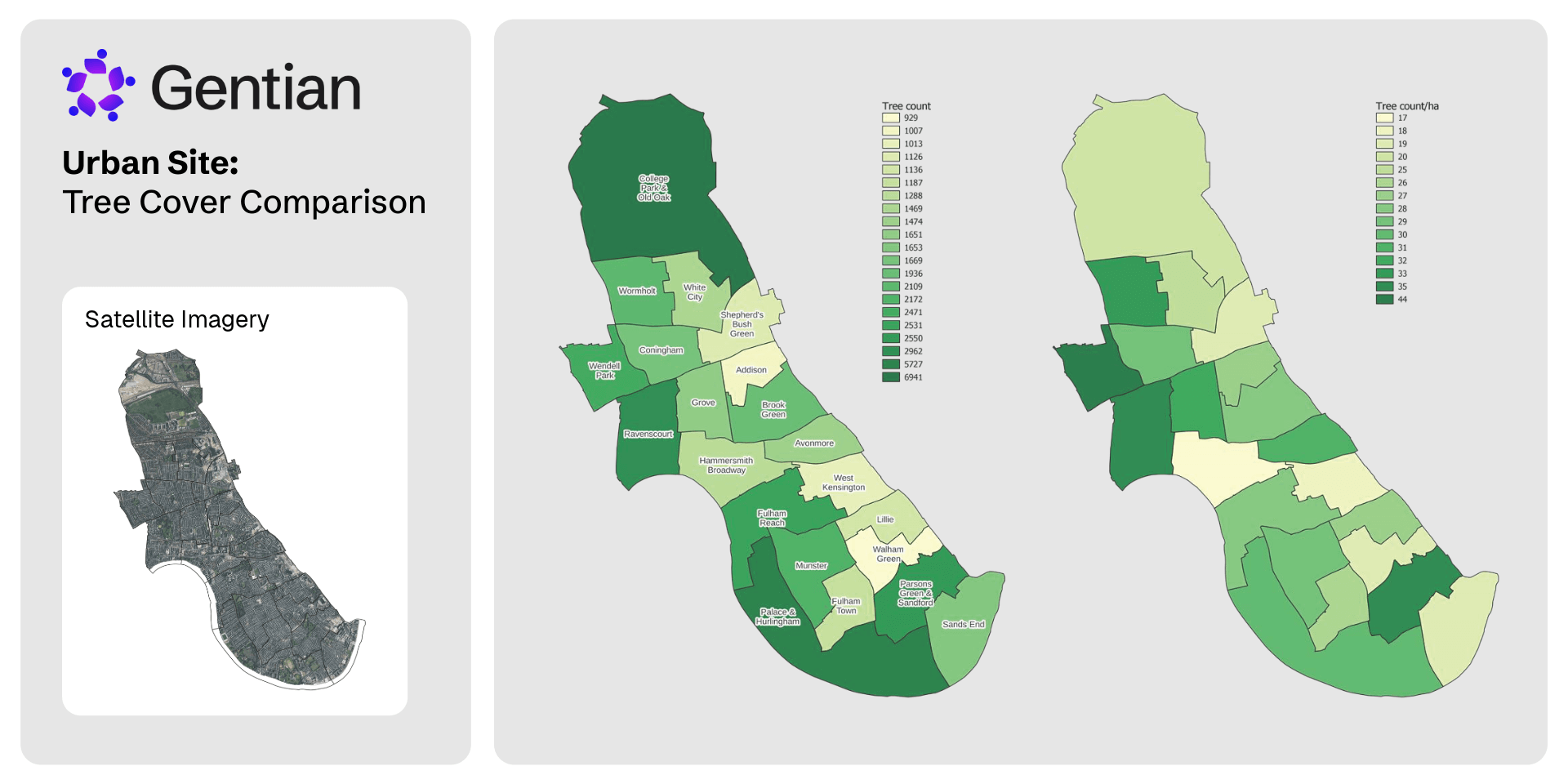 Services Pages Graphics-5-Tree Survey