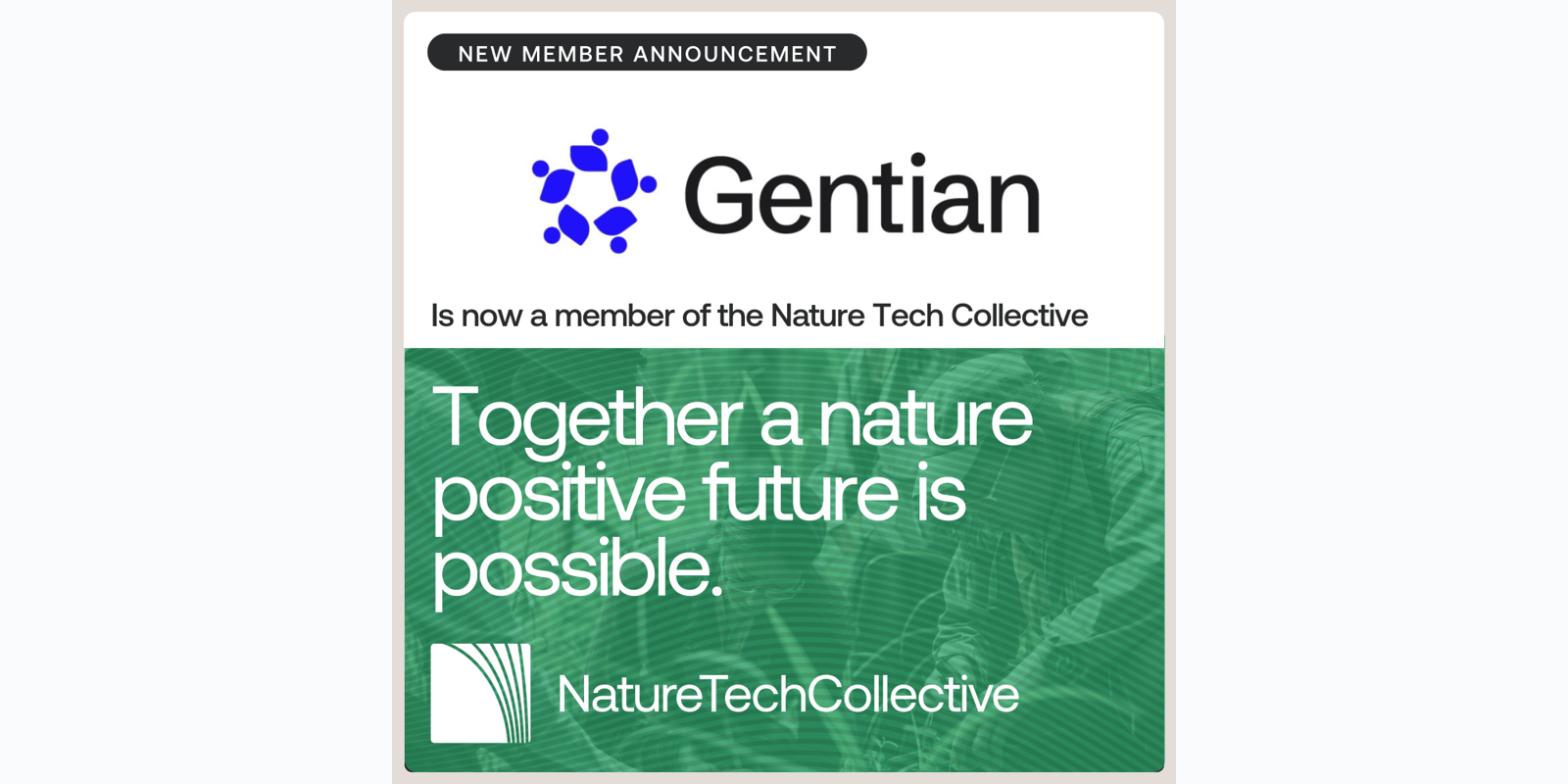 Gentian Joins the Nature Tech Collective