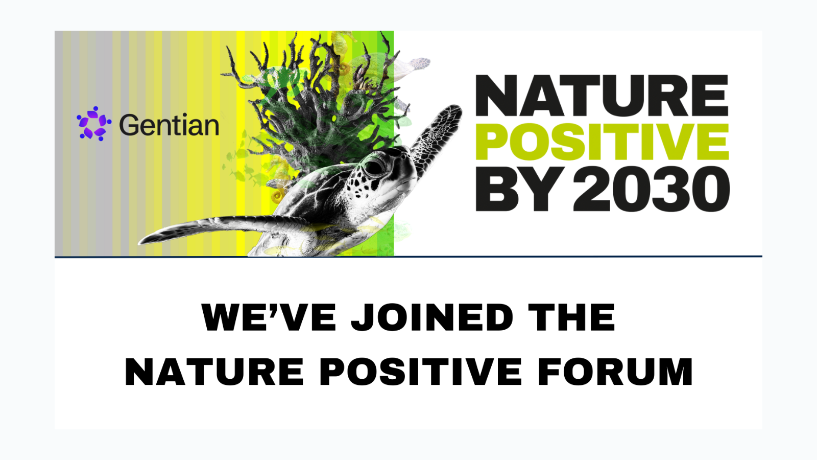 Gentian Joins the Nature Positive Forumfeatured image