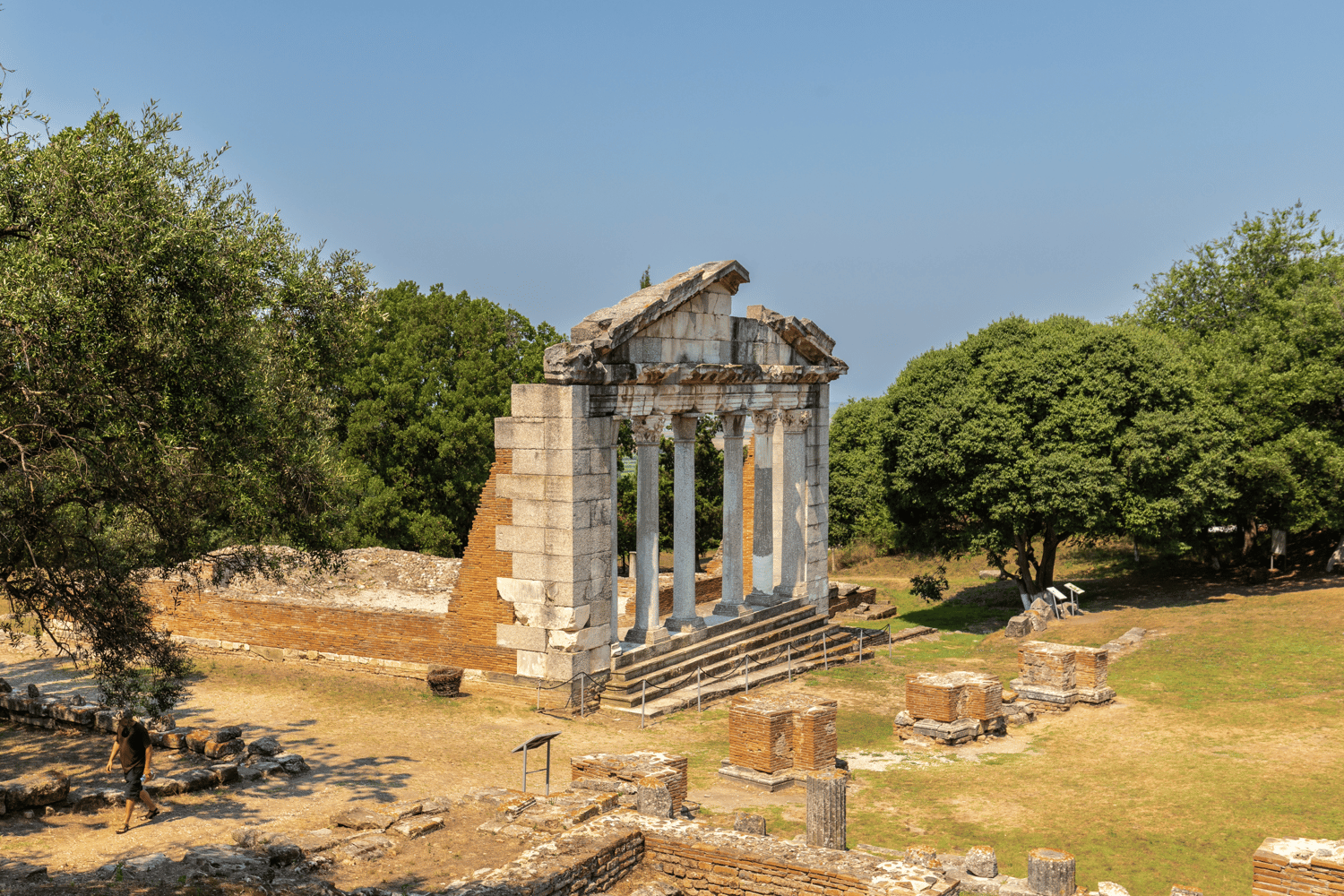 What Did the Romans Ever Do for Us? A Look at Their Impact on Biodiversity