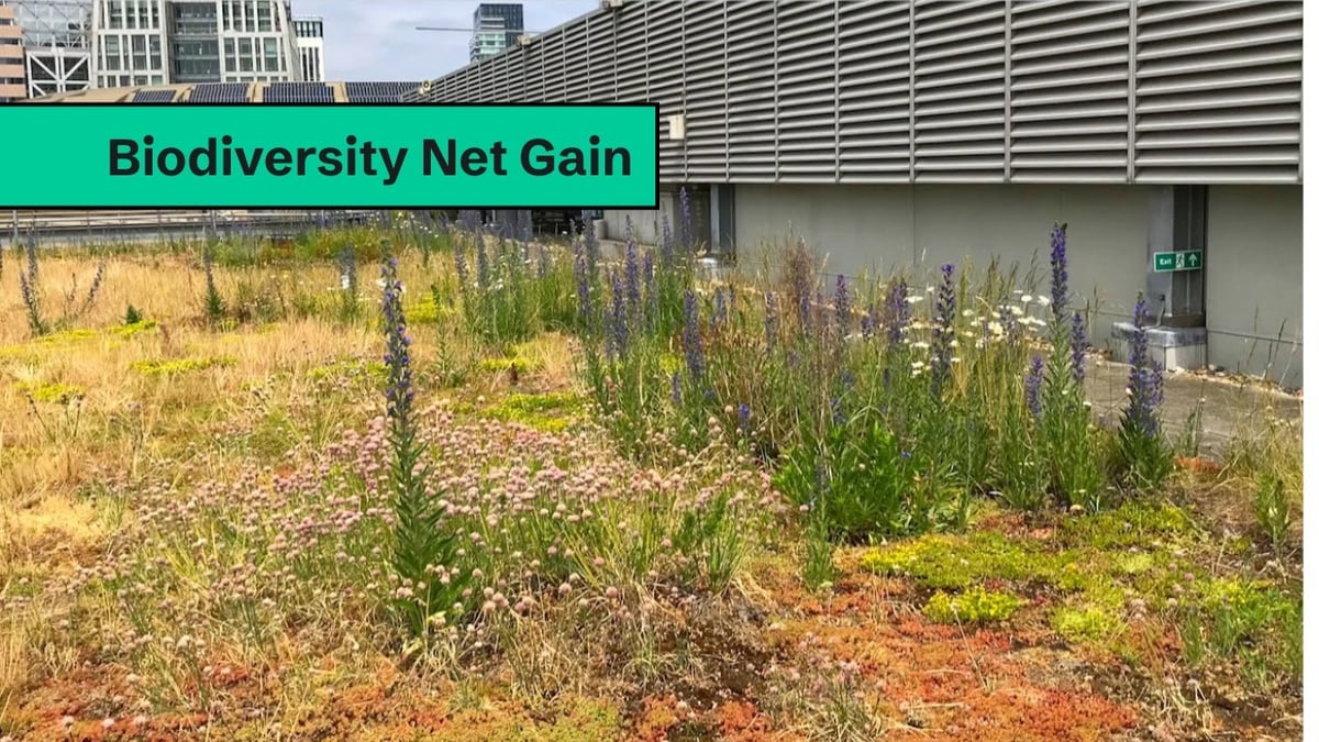 Guide to Biodiversity Net Gain Assessment (BNG)