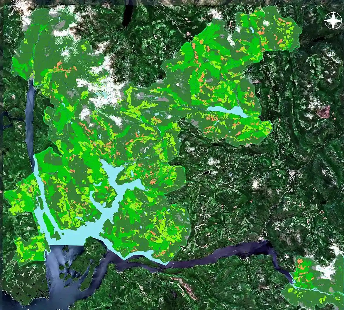 Untitled design (3)_11zon