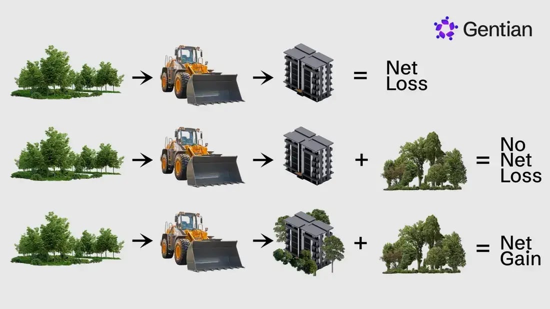 Untitled_81_optimized_200