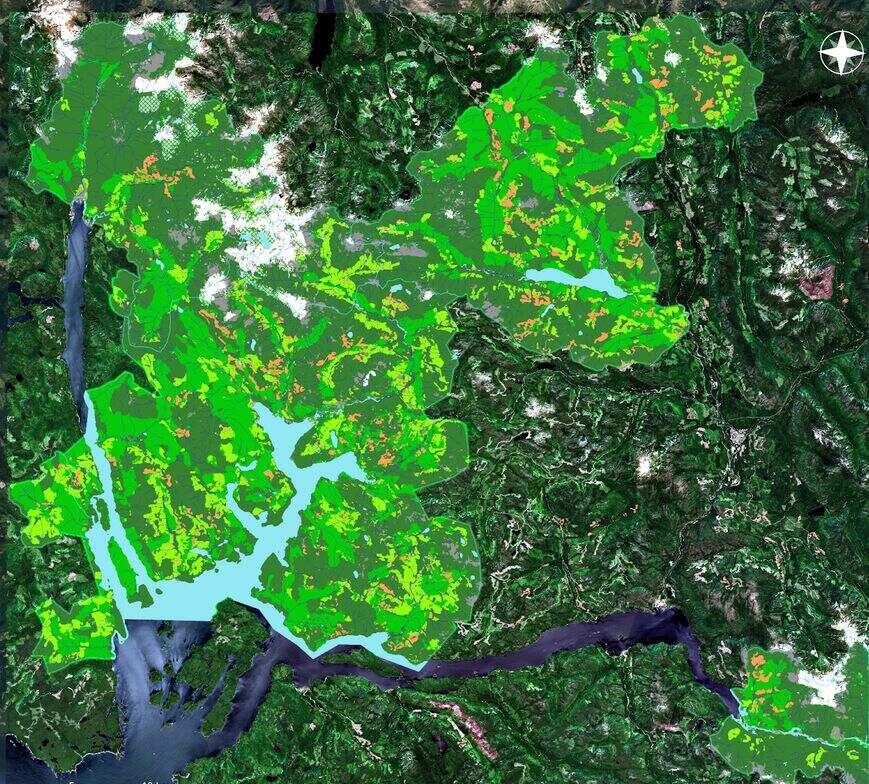 How Remote Sensing is Transforming Environmental Monitoring