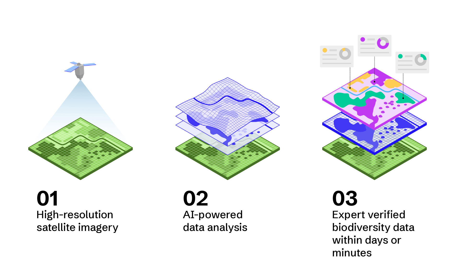 Website Graphics-1 (2) (1)