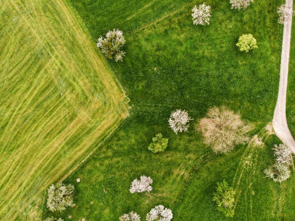 bernd-dittrich-vUsY6NGlADU-unsplash (1)