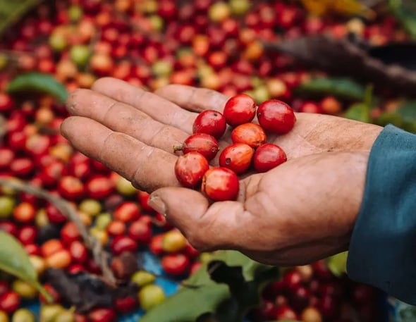 george-dagerotip-XRY4giMaDoA-unsplash (1)