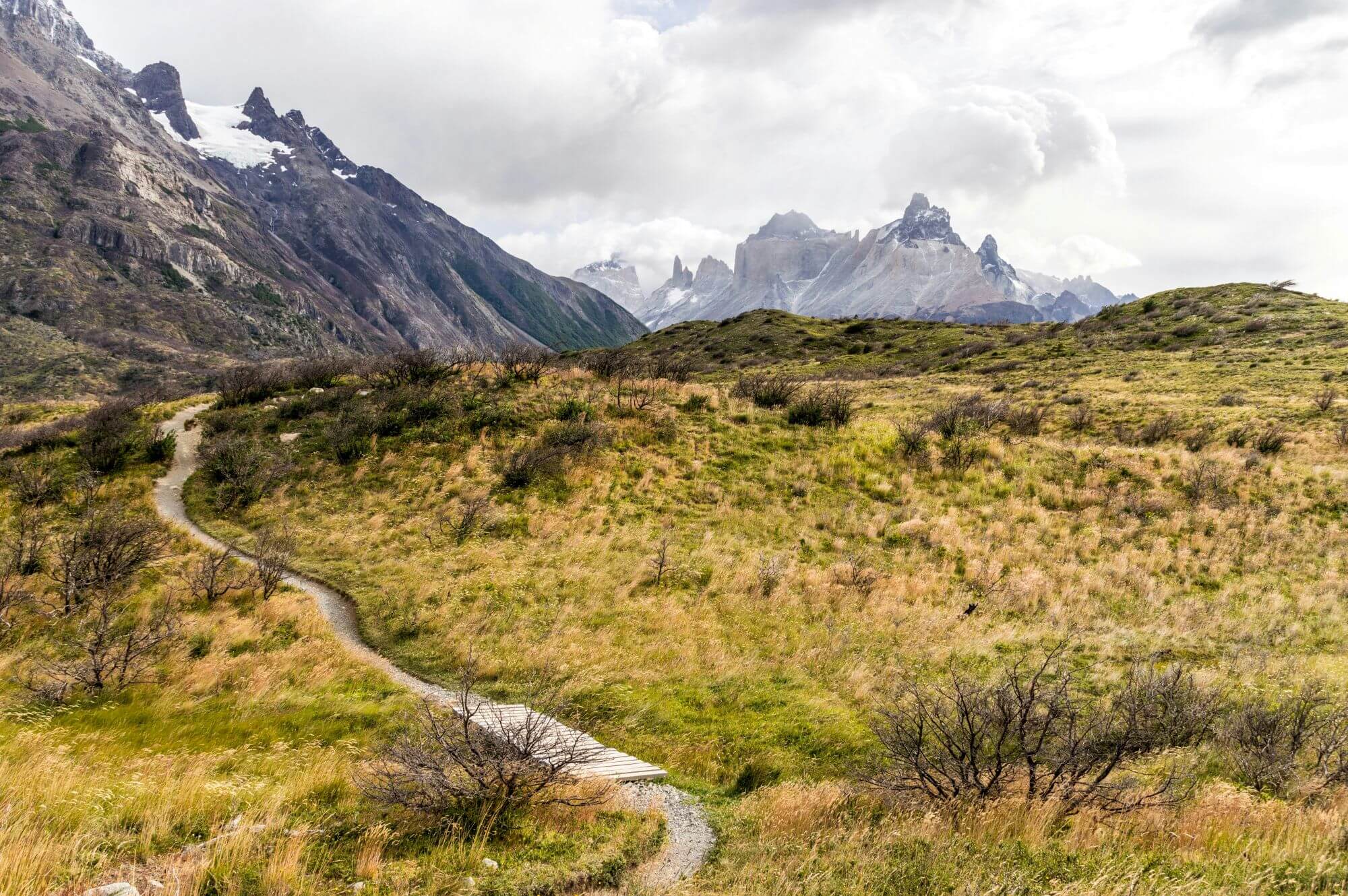 guillermo-riquelme-hFBwVNkEnWg-unsplash (1)