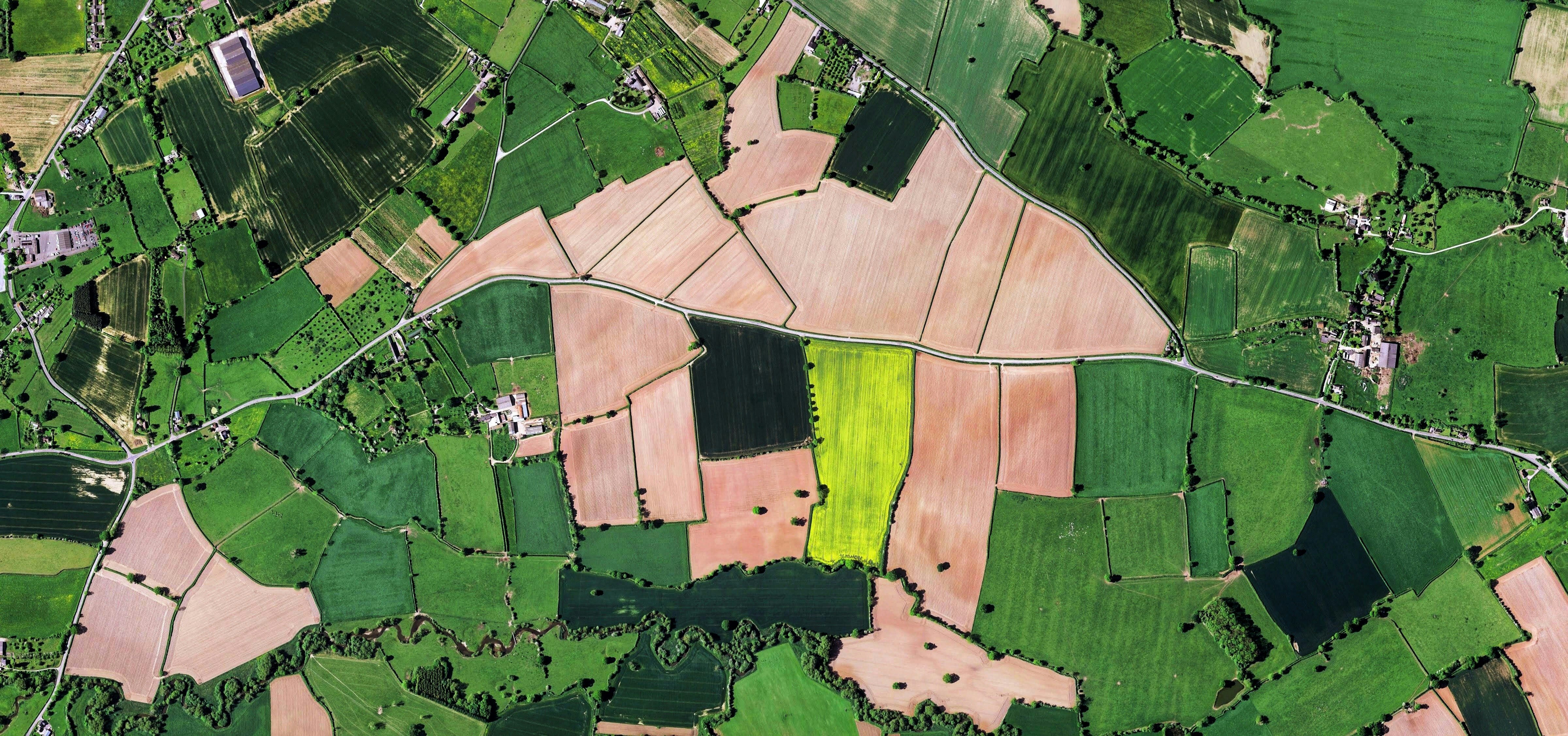 A satellite image showing a semi-rural landscape with areas of urban development shaded in pink. Dense green woodland surrounds the town, and a highlighted yellow-green area stands out in the center. Roads and field boundaries are visible throughout the landscape.