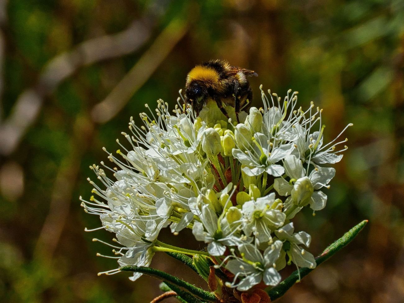 henry-schneider-ifZEJE1_vI0-unsplash (1)