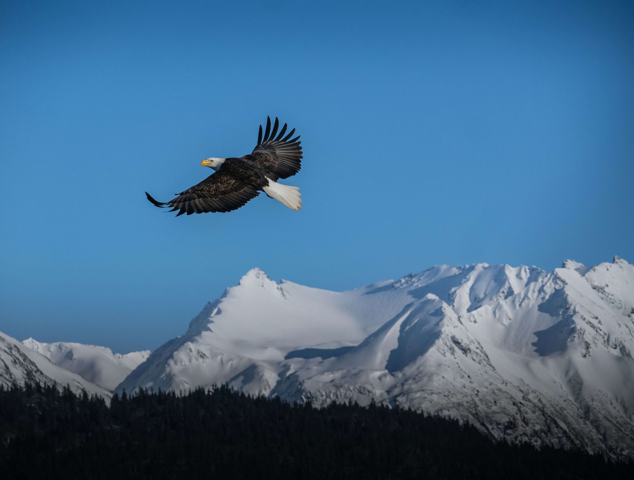 hunter-masters-NFIhAk0hlgk-unsplash resized (1)