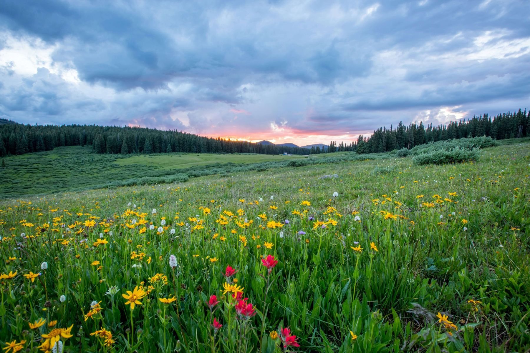 joel-holland-TRhGEGdw-YY-unsplash (1)