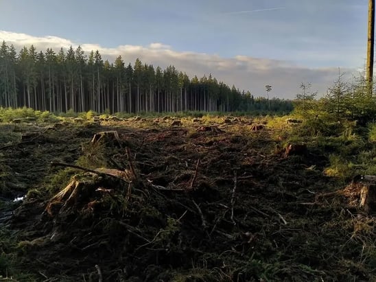 joseph-kellerer-OaNHcgRiEww-unsplash_1_optimized_200