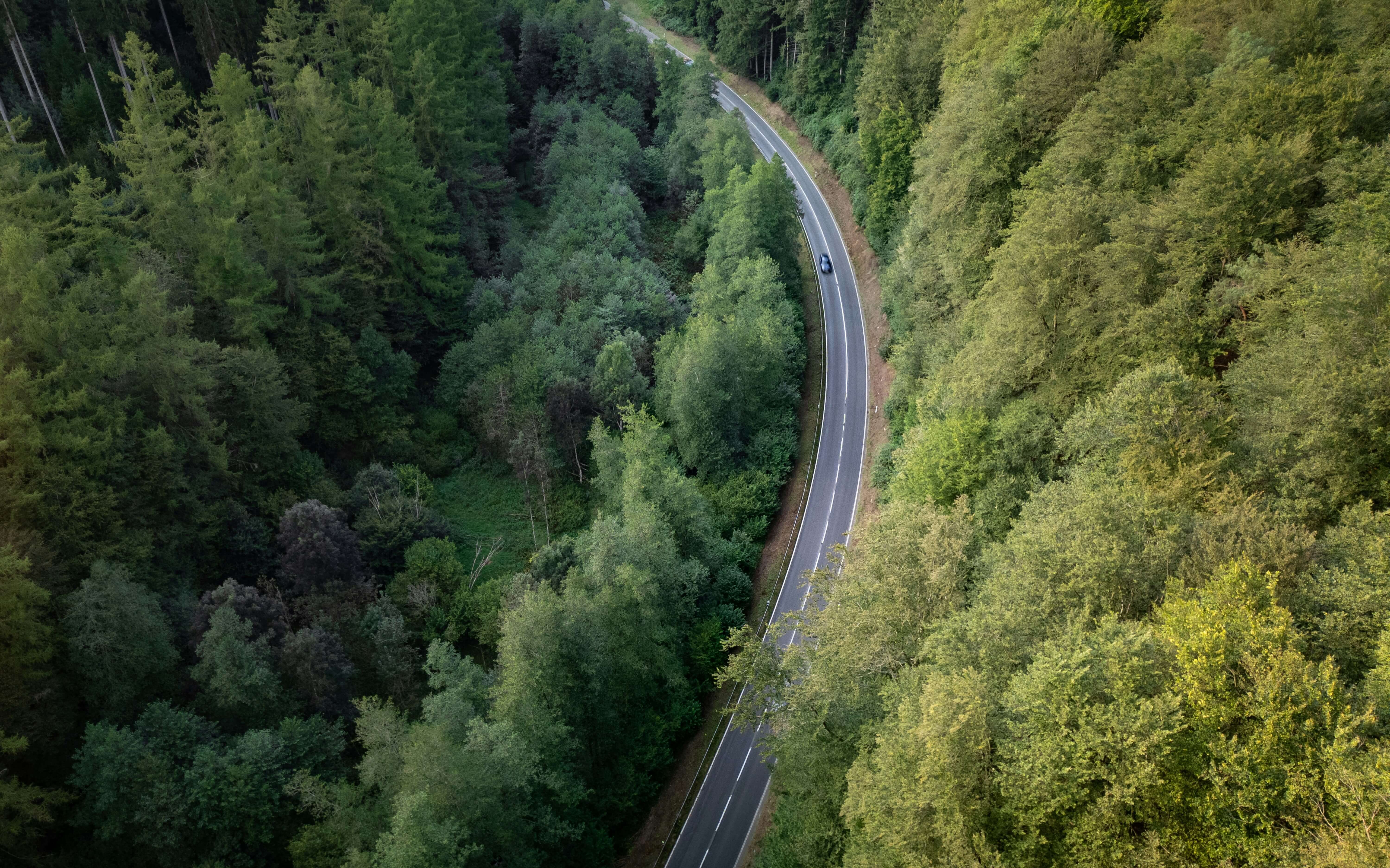 michael-fousert-bjX0xAZM4Ts-unsplash (1)
