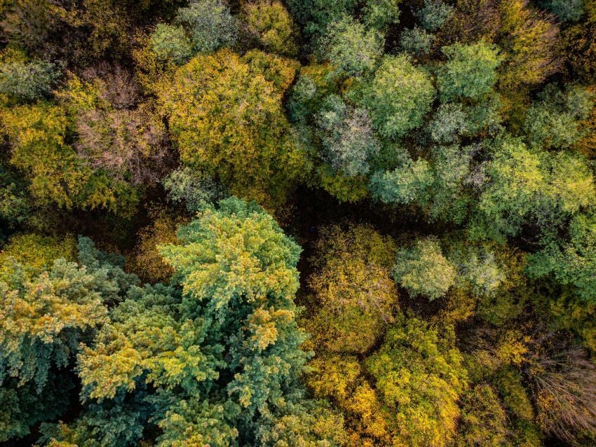 nikola-tomasic-FgU-_BscmzE-unsplash (1)