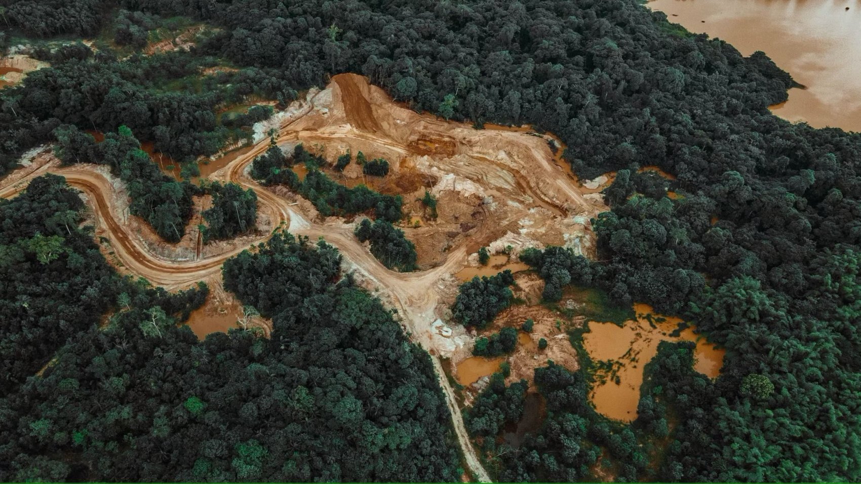 resized deforestation