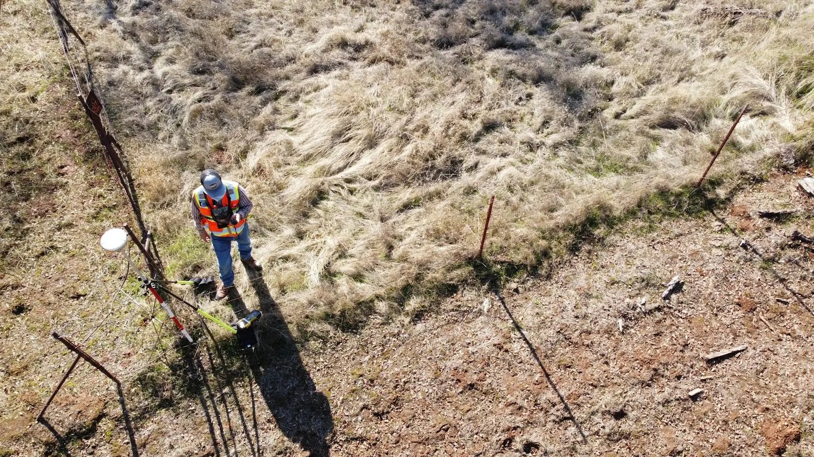 The NSIP Survey Season Problem: When Consent Outruns the Ecological Calendar