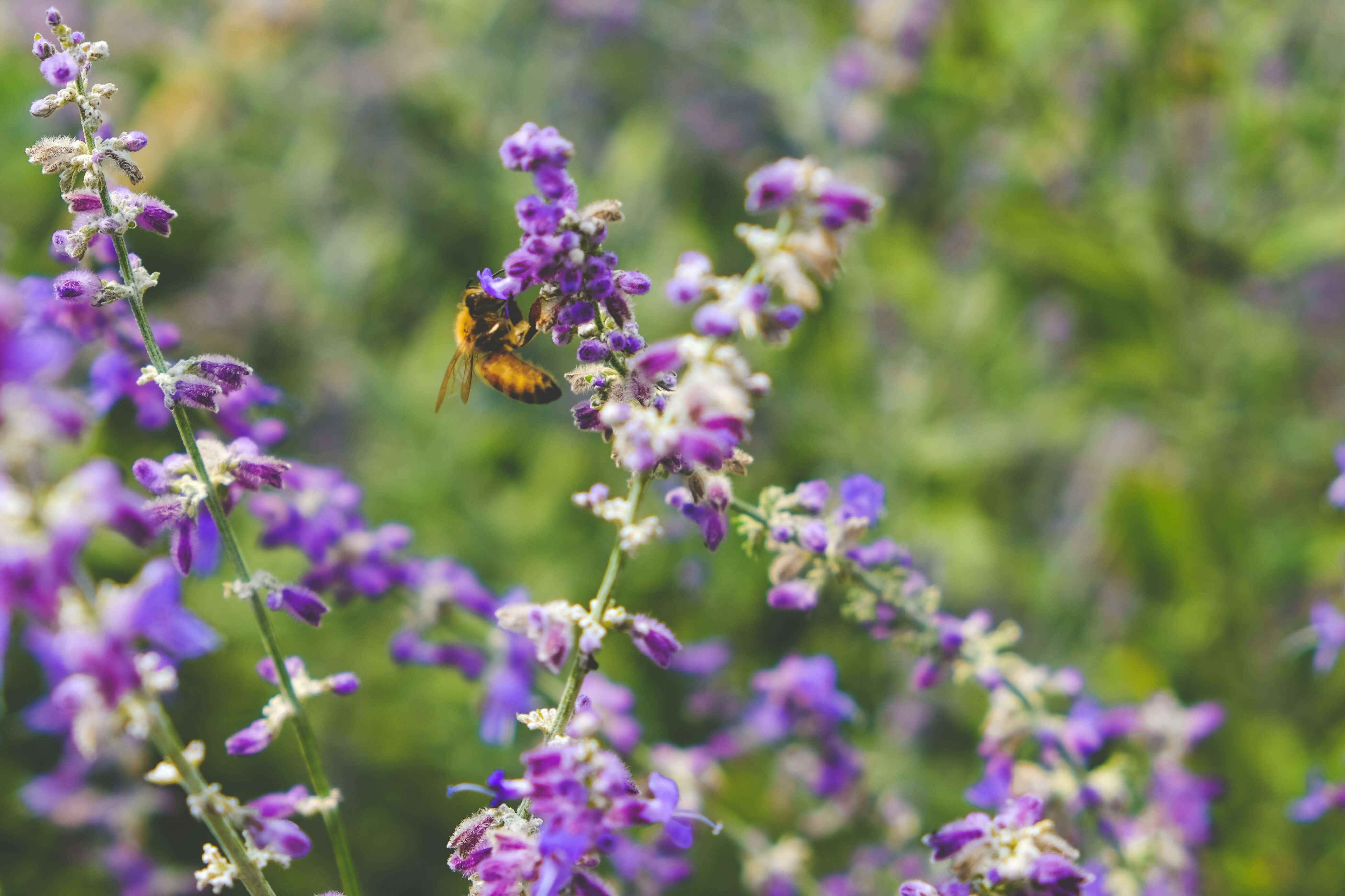 scotty-turner-dVLq8y3NgY4-unsplash (1)