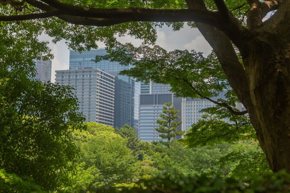 sebastian-kurpiel-6XHapPuNtv0-unsplash_optimized_200