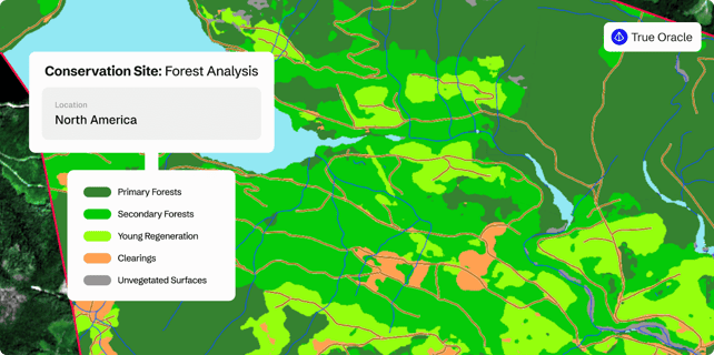 undefined-Dec-19-2025-02-52-38-1853-PM